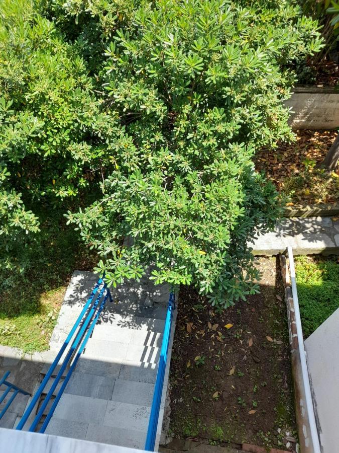 Maisonette Basilissa Nea Poteidaia Eksteriør billede